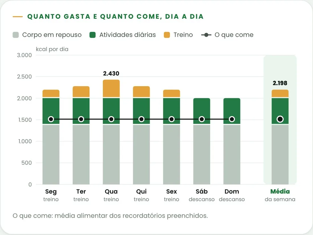 Gráfico de barras com o gasto de cada dia da semana, dividido em repouso, atividades diárias e treino, e a linha do que a paciente come